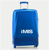 Luggage: Blue Carry-on